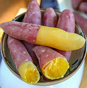 紫岛板栗红薯